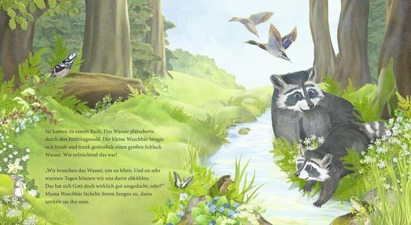 Produktbild: Der kleine Waschb&auml;r fragt nach Gott &ndash; ein Bilderbuch f&uuml;r Kinder ab 2 Jahren