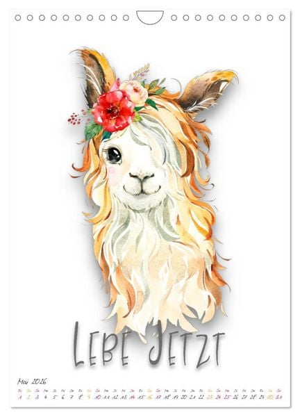 Produktbild: Freu Dich - Gute-Laune-Motivations-Kalender (Wandkalender 2026 DIN A4 hoch), CALVENDO Monatskalender