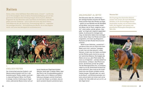 Produktbild: Pferde verstehen, erziehen und reiten