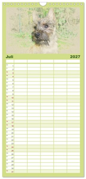 Produktbild: Familienplaner 2027 - Hundewelpen 2027 mit 5 Spalten (Wandkalender, 21 x 45 cm) CALVENDO