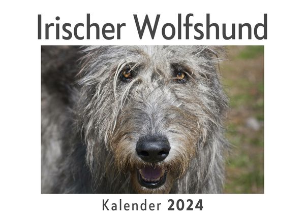 Produktbild: Irischer Wolfshund (Wandkalender 2024, Kalender DIN A4 quer, Monatskalender im Querformat mit Kalendarium, Das perfekte Geschenk)