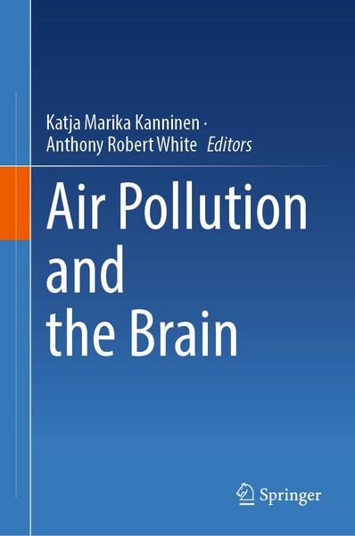 Produktbild: Air Pollution and the Brain