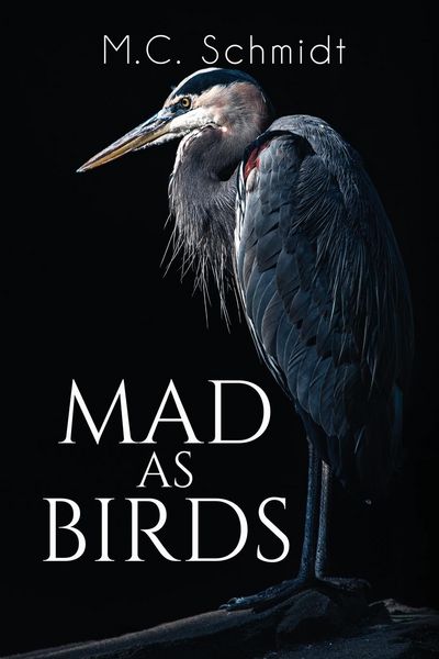 Produktbild: Mad as Birds