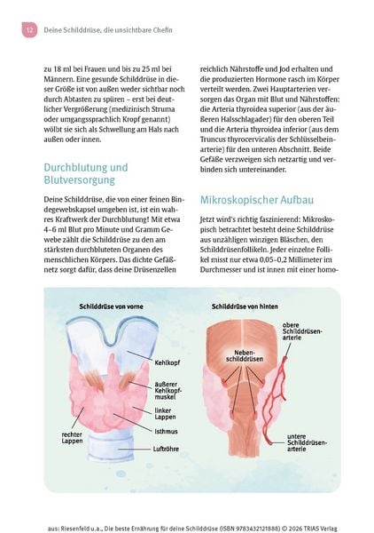 Produktbild: Die beste Ern&auml;hrung f&uuml;r deine Schilddr&uuml;se