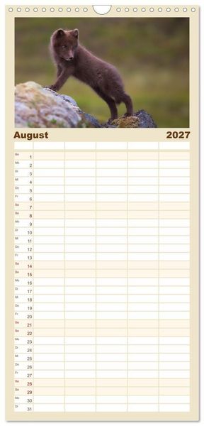 Produktbild: Familienplaner 2027 - Polarfuchs-Welpen mit 5 Spalten (Wandkalender, 21 x 45 cm) CALVENDO