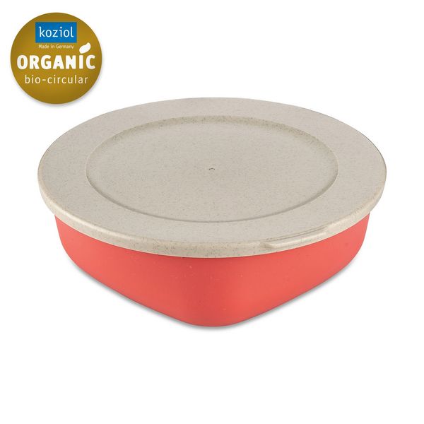 Produktbild: Koziol Box mit Deckel 1,3l Box mit Deckel 1,3l