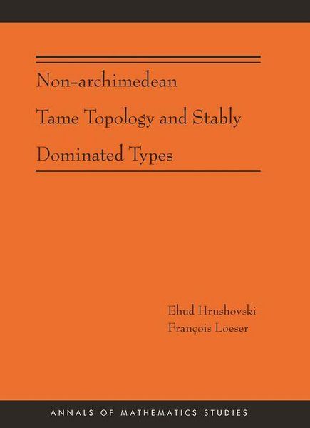 Produktbild: Non-Archimedean Tame Topology and Stably Dominated Types (AM-192)