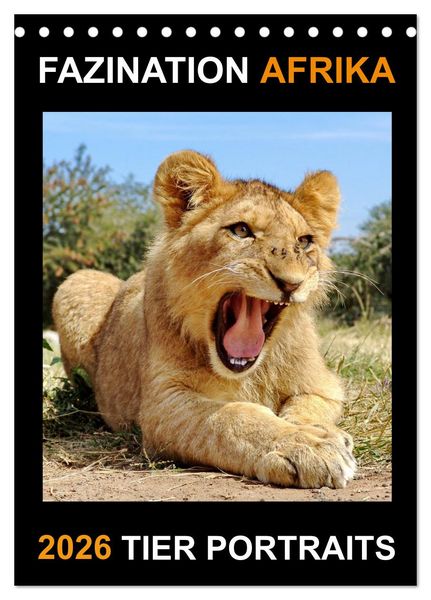 Produktbild: FAZINATION AFRIKA TIER PORTRAITS (Tischkalender 2026 DIN A5 hoch), CALVENDO Monatskalender