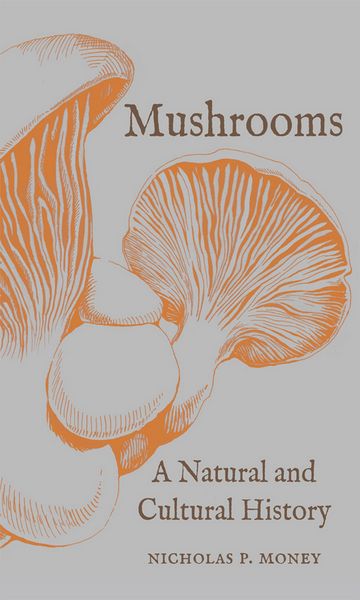 Produktbild: Mushrooms