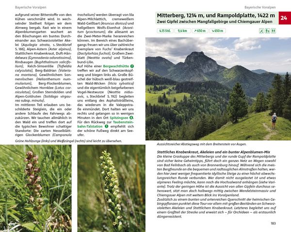 Produktbild: ROTHER Wanderbuch Blumenwanderungen Bayerische Alpen