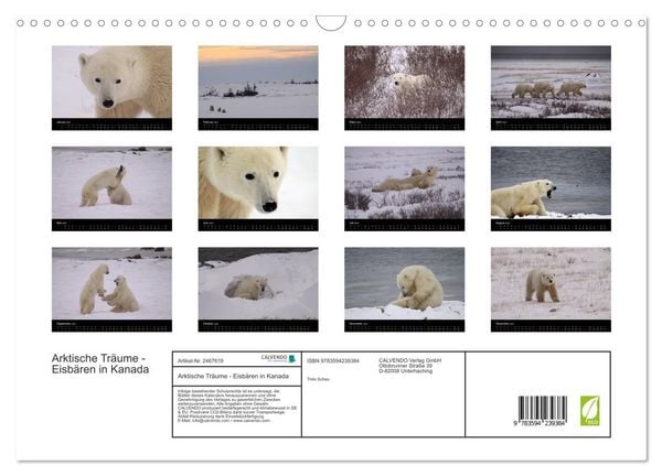Produktbild: Arktische Tr&auml;ume - Eisb&auml;ren in Kanada (Wandkalender 2027 DIN A3 quer), CALVENDO Monatskalender