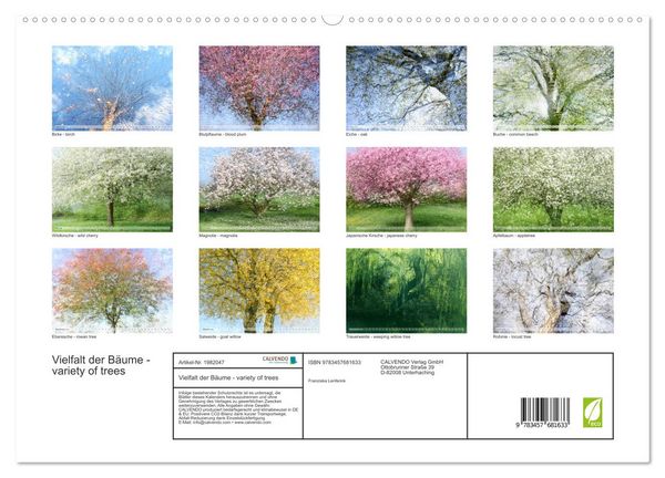 Produktbild: Vielfalt der B&auml;ume - variety of trees (hochwertiger Premium Wandkalender 2026 DIN A2 quer), Kunstdruck in Hochglanz