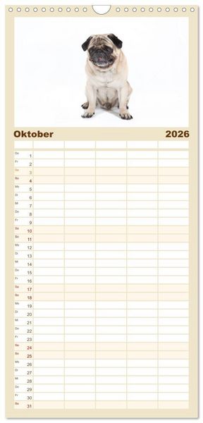 Produktbild: Familienplaner 2026 - Mops - unwiderstehlich und charmant mit 5 Spalten (Wandkalender, 21 x 45 cm) CALVENDO