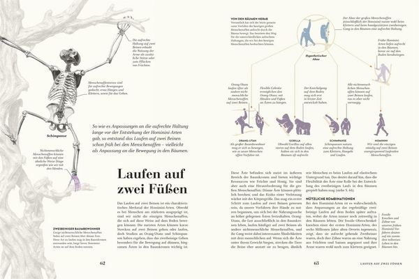 Produktbild: HUMANS. Der Mensch