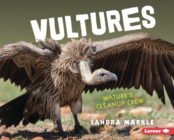 Produktbild: Vultures