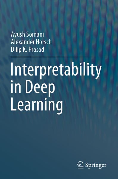 Produktbild: Interpretability in Deep Learning