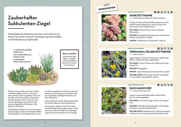Produktbild: Klimahelden auf dem Balkon