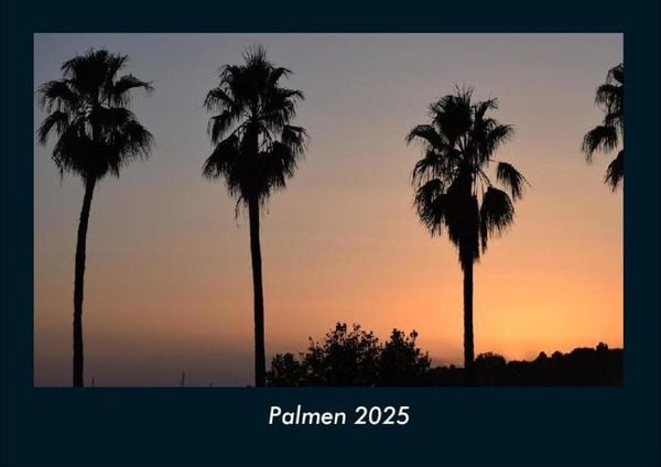 Produktbild: Palmen 2025 Fotokalender DIN A4