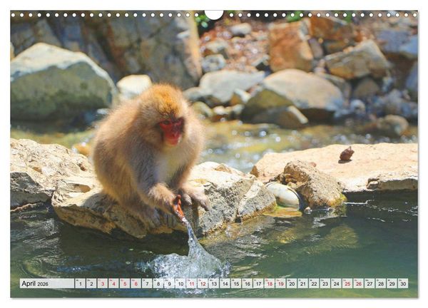 Produktbild: Japan das Land der aufgehenden Sonne (Wandkalender 2026 DIN A3 quer), CALVENDO Monatskalender