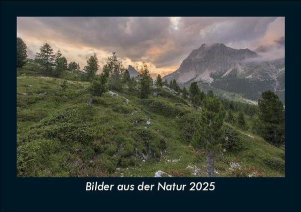 Produktbild: Bilder aus der Natur 2025 Fotokalender DIN A5