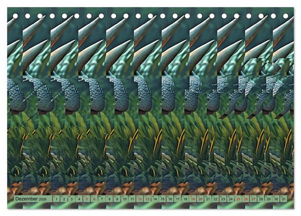 Produktbild: Magische Bilder - fantastische Stereogramme (Tischkalender 2026 DIN A5 quer), CALVENDO Monatskalender