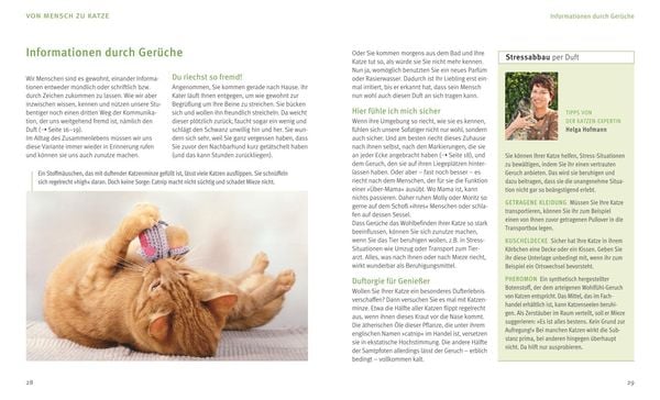 Produktbild: Katzensprache