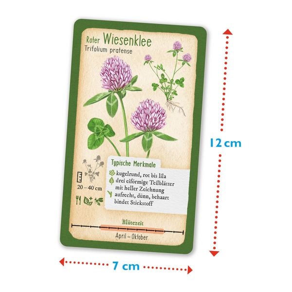 Produktbild: Tour durch die Natur - 50 heimische Pflanzen - Wald & Wiese