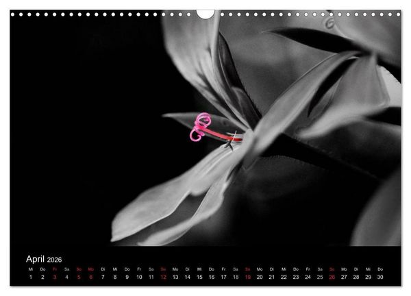 Produktbild: Farbtupfer (Wandkalender 2026 DIN A3 quer), CALVENDO Monatskalender