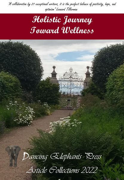 Produktbild: Holistic Journey Toward Wellness