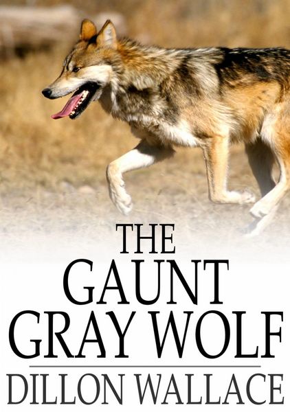 Produktbild: Gaunt Gray Wolf