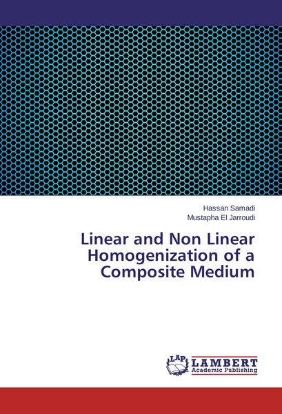 Produktbild: Linear and Non Linear Homogenization of a Composite Medium