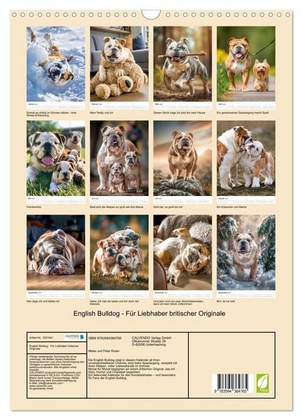 Produktbild: English Bulldog - F&uuml;r Liebhaber britischer Originale (Wandkalender 2027 DIN A3 hoch), CALVENDO Monatskalender