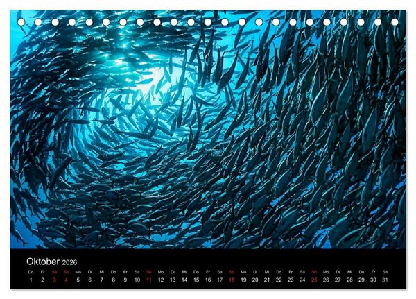 Produktbild: Fischschw&auml;rme (Tischkalender 2026 DIN A5 quer), CALVENDO Monatskalender