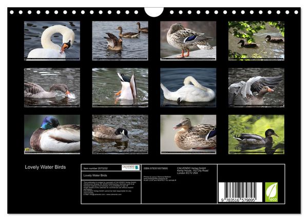 Produktbild: Lovely Water Birds (Wall Calendar 2026 DIN A4 landscape), CALVENDO 12 Month Wall Calendar