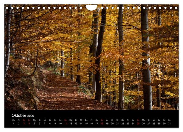 Produktbild: Harz-Bilder (Wandkalender 2026 DIN A4 quer), CALVENDO Monatskalender