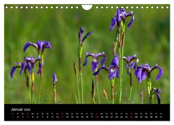 Produktbild: Sibirien- Impressionen von der Lena (Wandkalender 2026 DIN A4 quer), CALVENDO Monatskalender