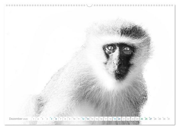 Produktbild: AFRIKA - Schwarz-weiss Fotografien im modernen "High Key" Look (Wandkalender 2026 DIN A2 quer), CALVENDO Monatskalender