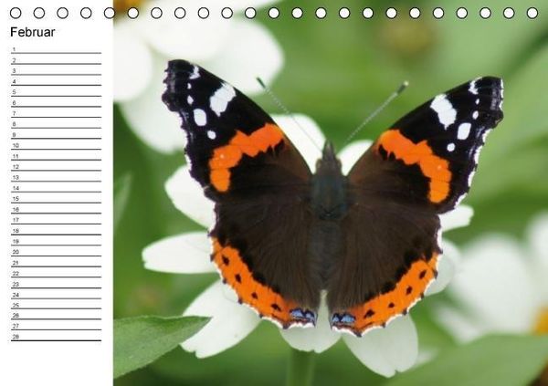 Produktbild: Heimische Schmetterlinge / Geburtstagskalender (Tischkalender immerw&auml;hrend DIN A5 quer)
