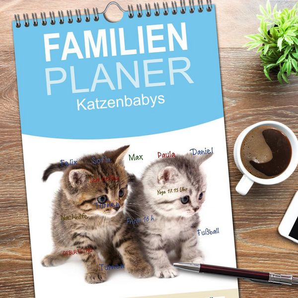 Produktbild: Familienplaner 2026 - Katzenbabys mit 5 Spalten (Wandkalender, 21 x 45 cm) CALVENDO