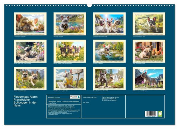 Produktbild: Fledermaus Alarm. Franz&ouml;siche Bulldoggen in der Natur (Wandkalender 2026 DIN A2 quer), CALVENDO Monatskalender