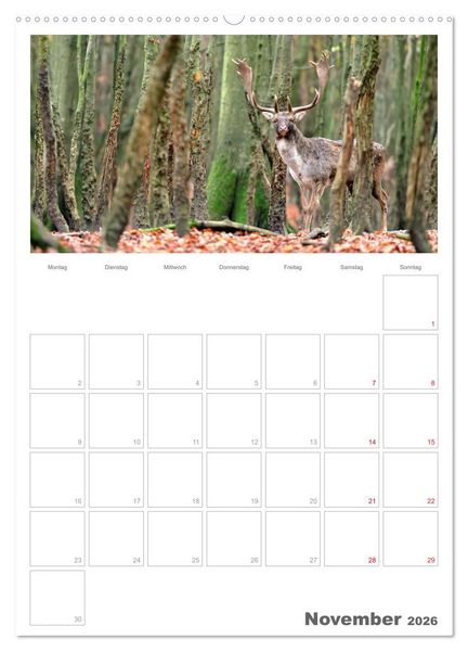 Produktbild: Rehe & Co / Planer (Wandkalender 2026 DIN A2 hoch), CALVENDO Monatskalender