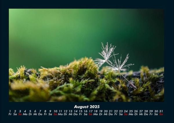 Produktbild: Bilder aus der Natur 2025 Fotokalender DIN A4