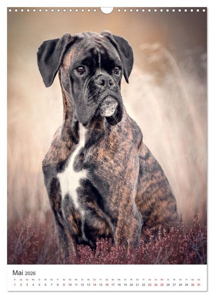 Produktbild: Hunde - Unsere treuen Wegbegleiter. (Wandkalender 2026 DIN A3 hoch), CALVENDO Monatskalender
