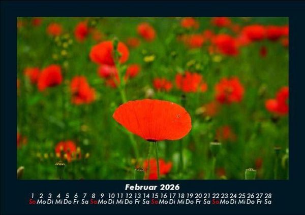 Produktbild: Blumentr&auml;ume 2026 Fotokalender DIN A5