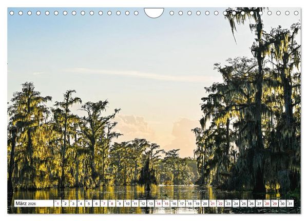 Produktbild: Louisiana - S&uuml;mpfe und Plantagenh&auml;user (Wandkalender 2026 DIN A4 quer), CALVENDO Monatskalender