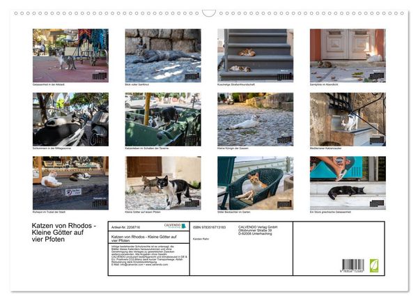 Produktbild: Katzen von Rhodos - Kleine G&ouml;tter auf vier Pfoten (Wandkalender 2026 DIN A2 quer), CALVENDO Monatskalender