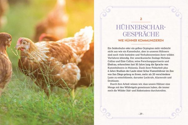Produktbild: How to Read a Chicken's Mind