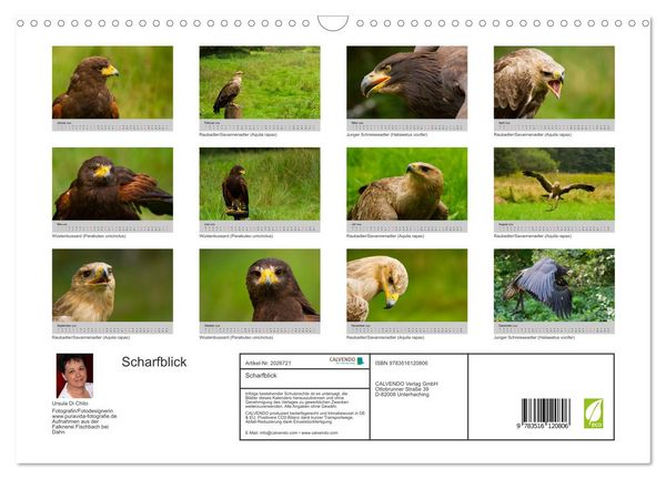 Produktbild: Scharfblick (Wandkalender 2026 DIN A3 quer), CALVENDO Monatskalender