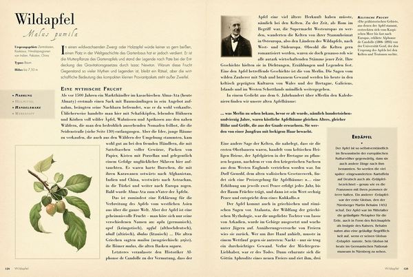 Produktbild: 50 Pflanzen