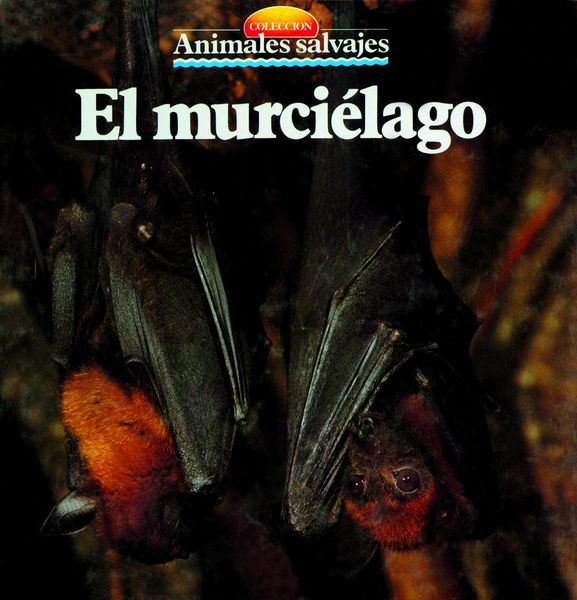 Produktbild: El murci&eacute;lago